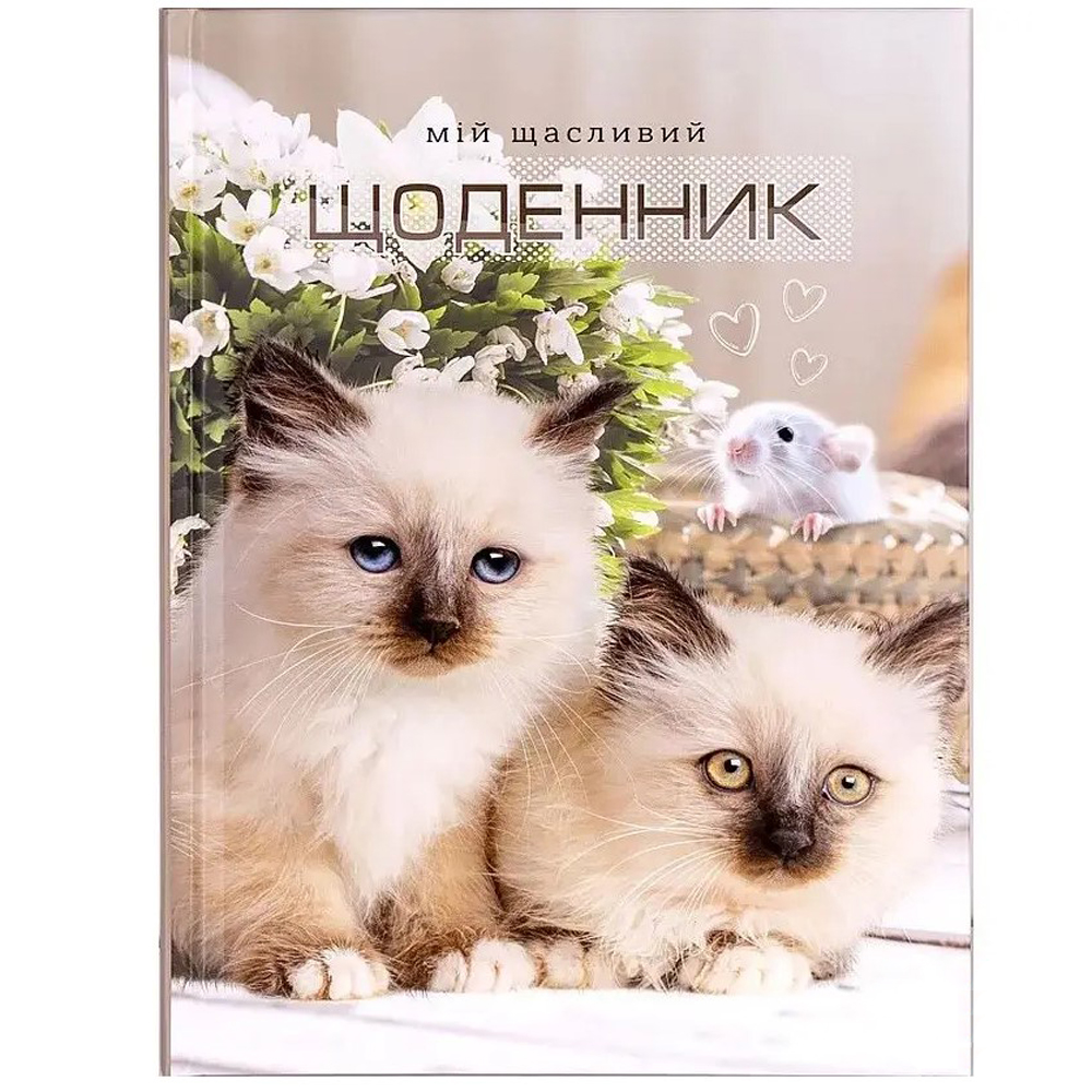 Дневник школьный, 48 л, матовая ламинация, диз 21129,21137,21139,21141,21147,21149,21168, ДН023/4,12,14,16,22,24,43 (9011) 1