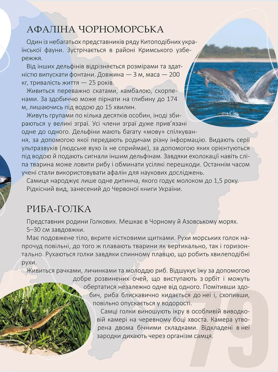 Книга "Енциклопедія для допитливих А5: Перлини природи України" (у) (0764) 1