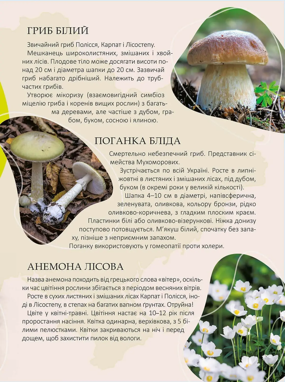 Книга "Енциклопедія для допитливих А5: Перлини природи України" (у) (0764) 2