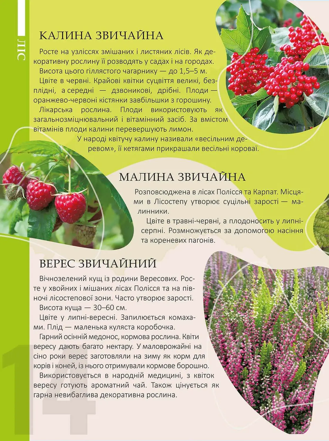 Книга "Енциклопедія для допитливих А5: Перлини природи України" (у) (0764) 3