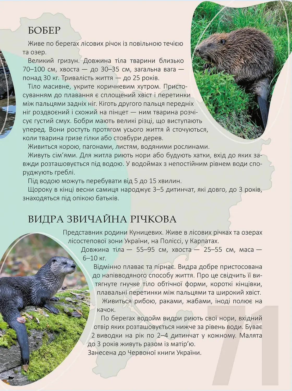 Книга "Енциклопедія для допитливих А5: Перлини природи України" (у) (0764) 4
