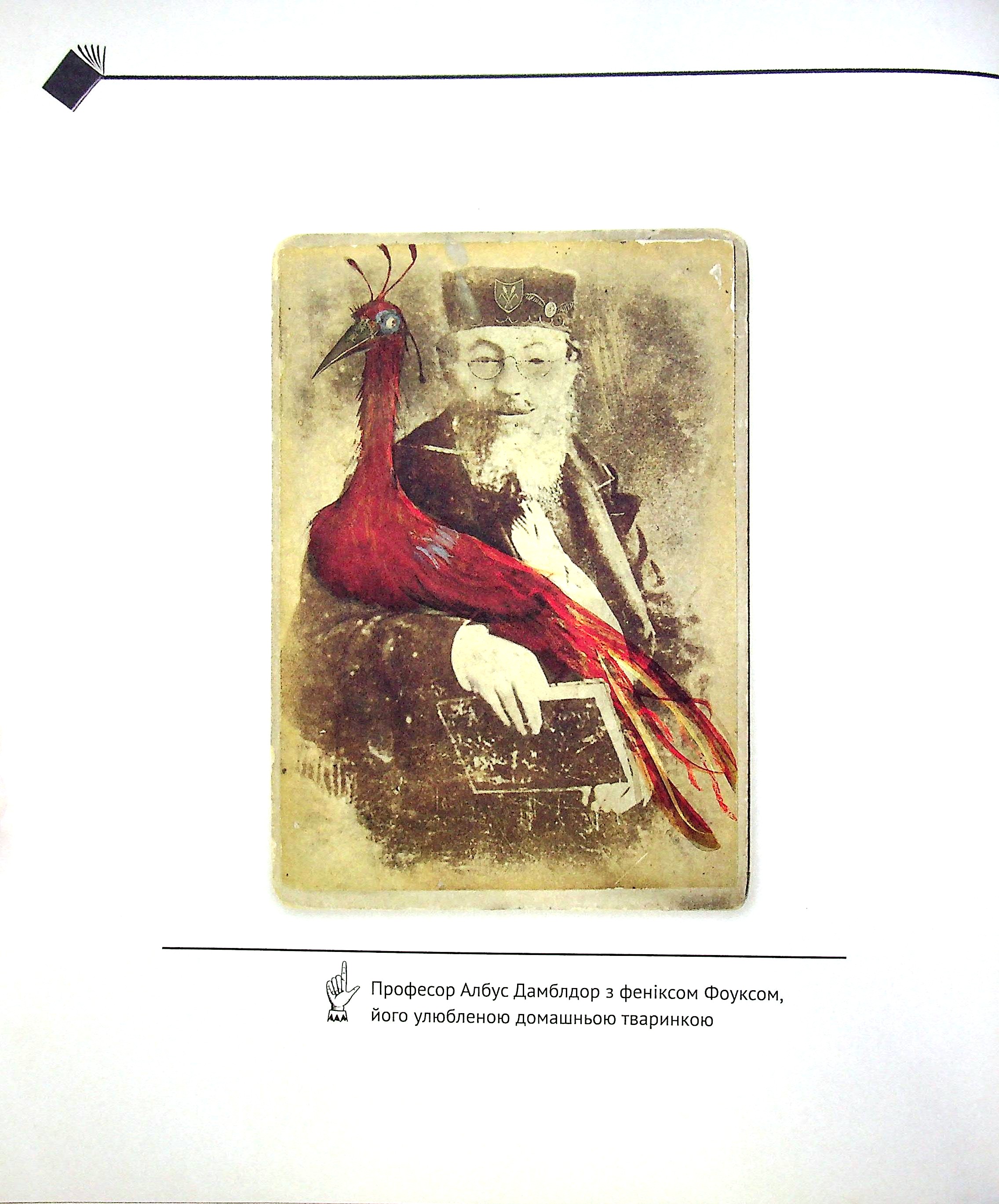 Книга "Роулінг Дж. Квідич крізь віки", іл. видання (у) (2149) 5