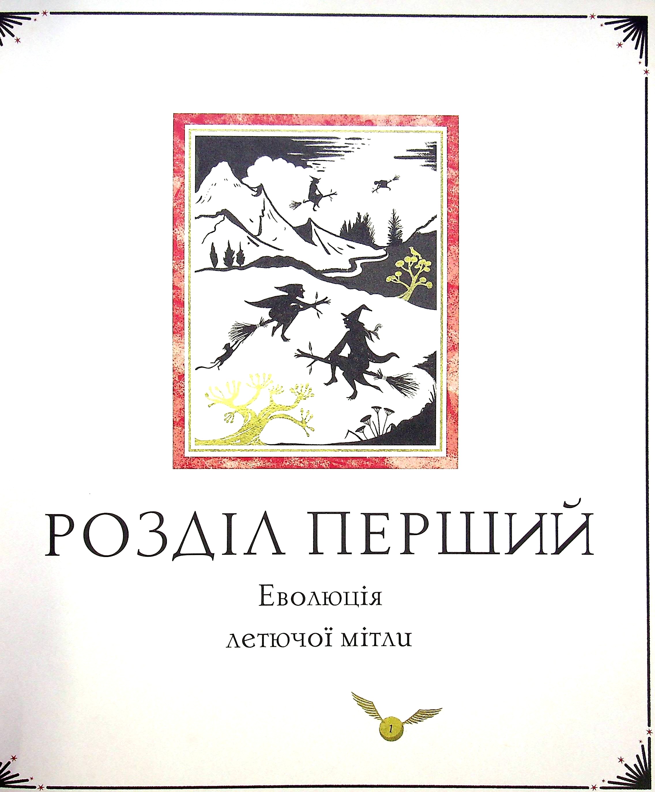 Книга "Роулінг Дж. Квідич крізь віки", іл. видання (у) (2149) 9