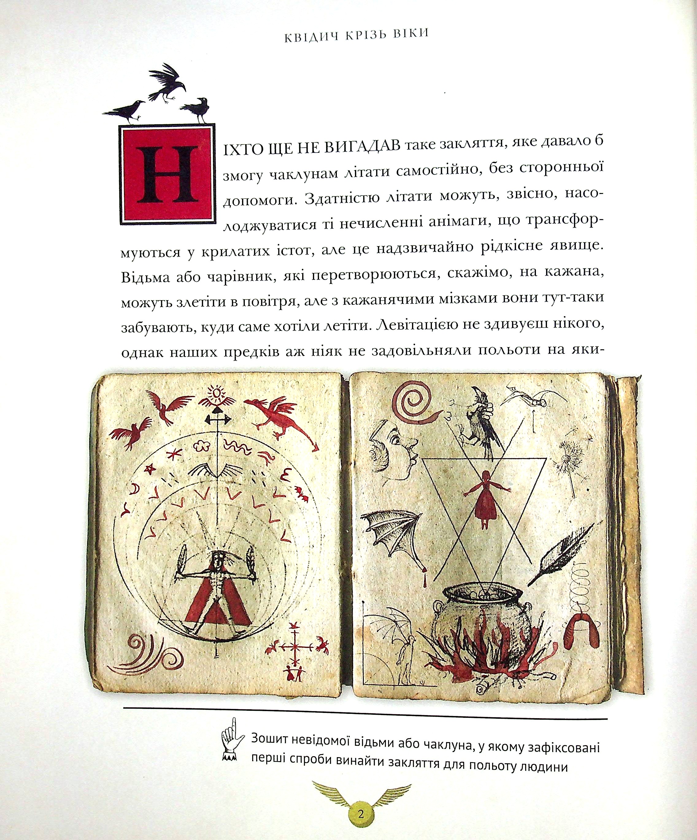 Книга "Роулінг Дж. Квідич крізь віки", іл. видання (у) (2149) 10