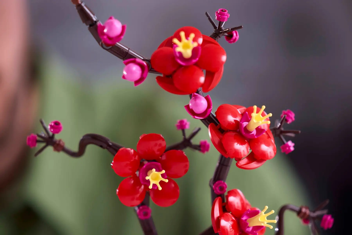 Конструктор Lego Botanicals "Сливовий цвіт", 10369 6