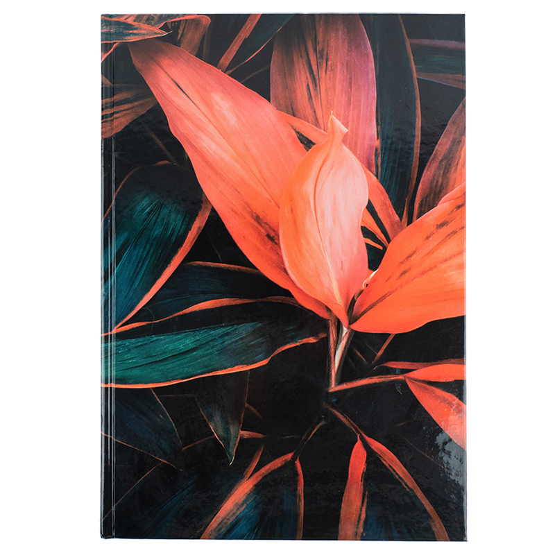Книга записна Flora А4 192 арк. кл., поморанчева, 8423-28-A