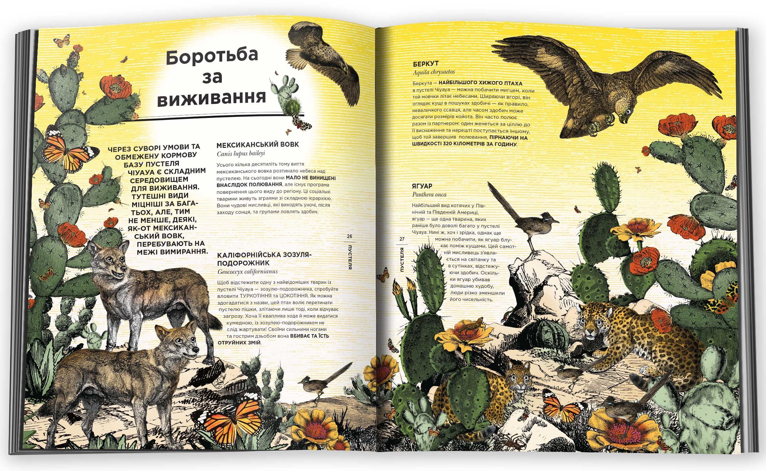 Книга "Вільямс К. С., Брум Дж. Диво-сад" (у) (5408) 2