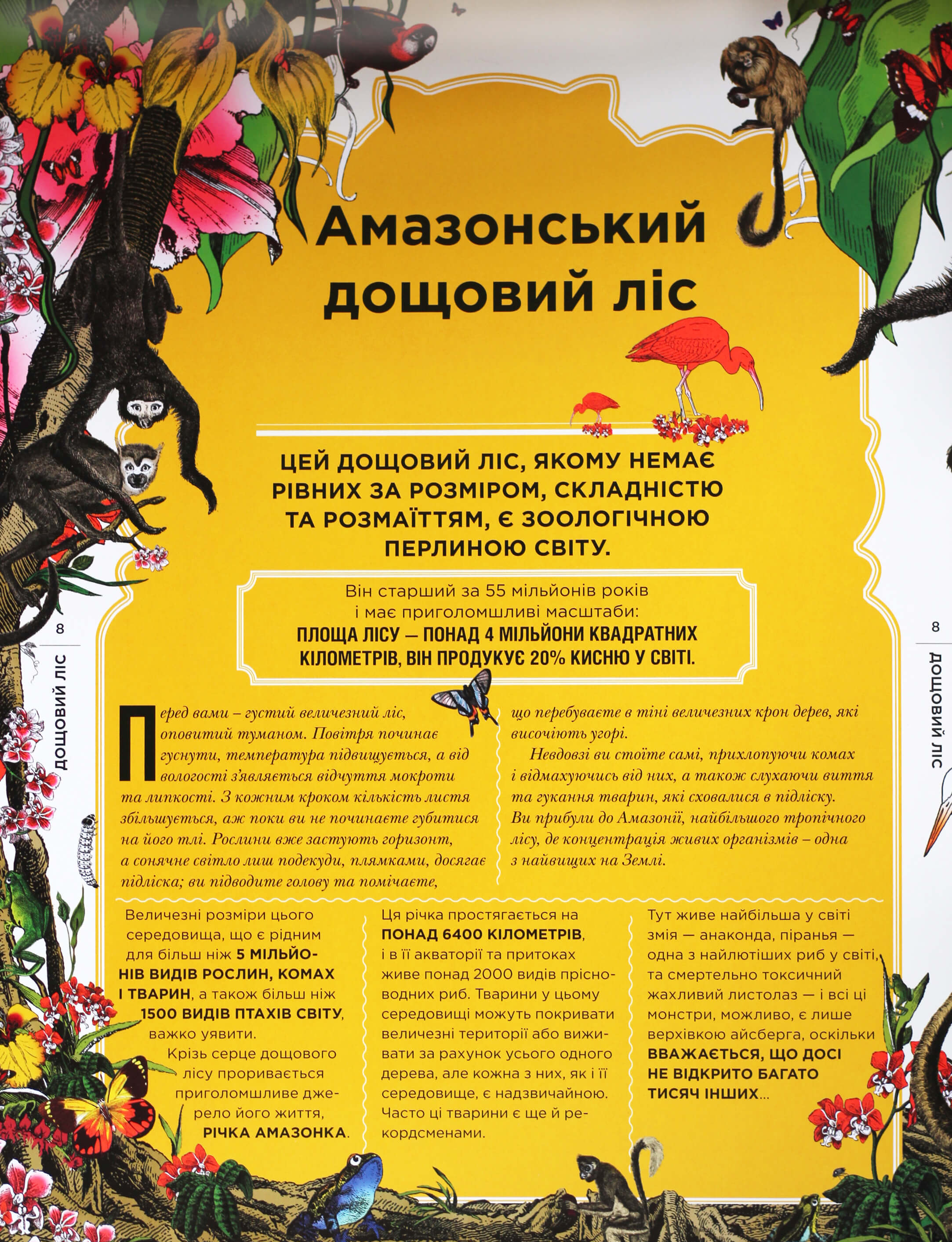 Книга "Вільямс К. С., Брум Дж. Диво-сад" (у) (5408) 4