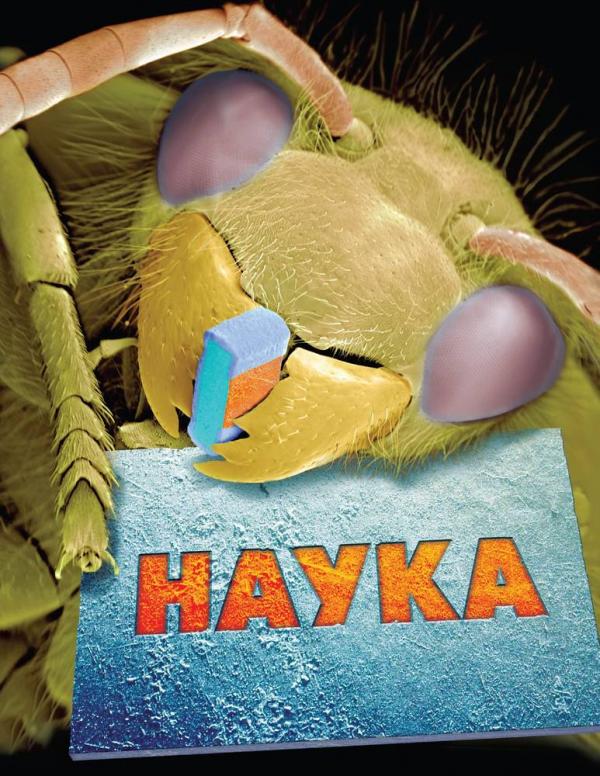 Книга "Енциклопедія повна "Наука" Фарндон Дж., Грехем Я., Паркер С." (у) (8727)