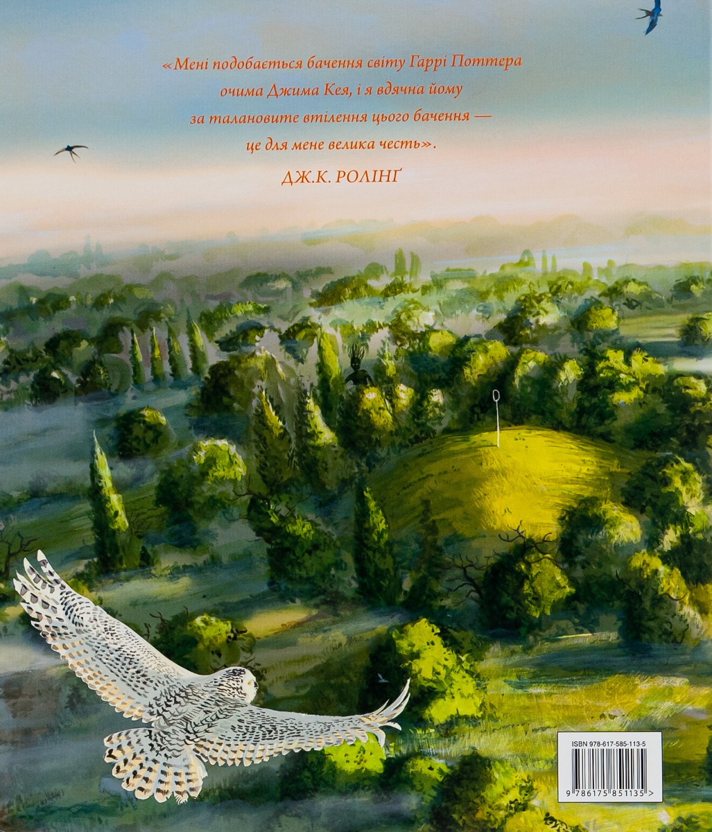 Книга "Роулинг Дж. Гарри Поттер и Тайная комната", Кн. 2 ил.издания (у) (1135) 2