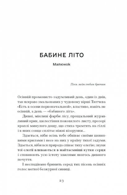 Книга "Рильський М. Меланхолійний бенкет осені" (у) (2386) 6