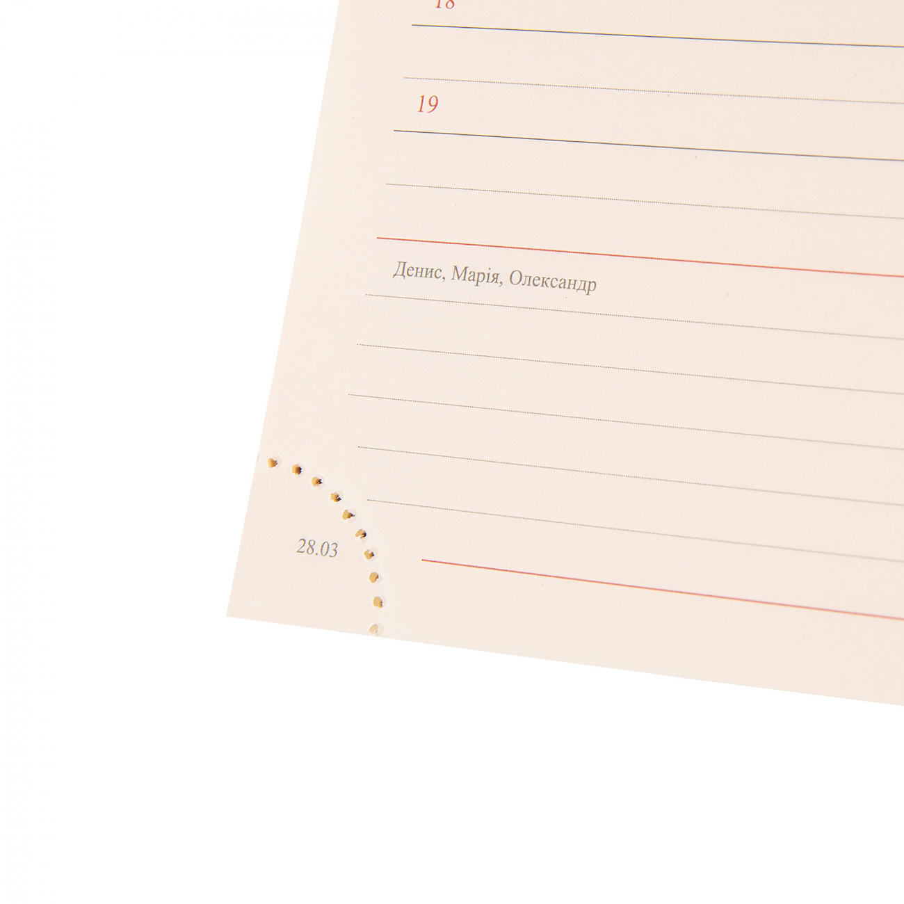 Деловая записная книжка А5 2025, "Rettangolo", мягк., 368 стр., 252588, Leo Planner 8