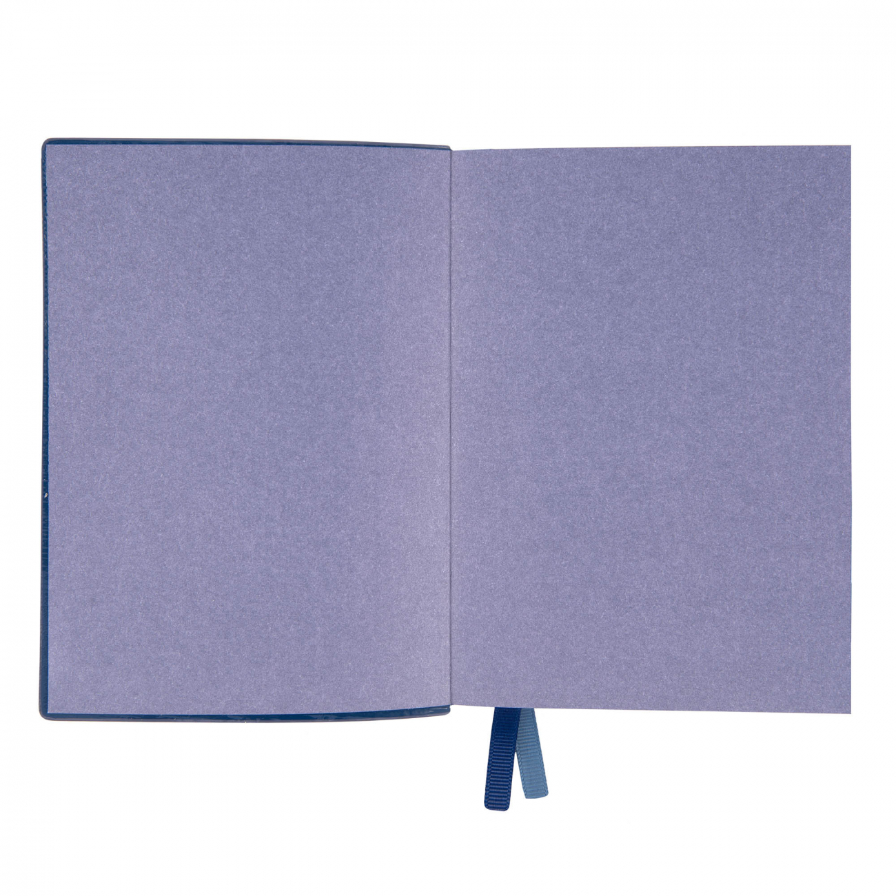 Деловая записная книжка А6 2025, "Apiro", мягк., 352 стр., синий, 252599, Leo Planner 3