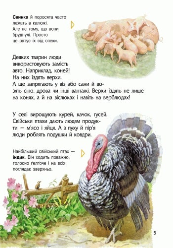 Книга "Энциклопедия дошкольника: Каспарова Ю.Животные" (у) (8344) 1