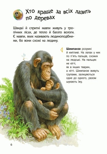 Книга "Энциклопедия дошкольника: Каспарова Ю.Животные" (у) (8344) 2