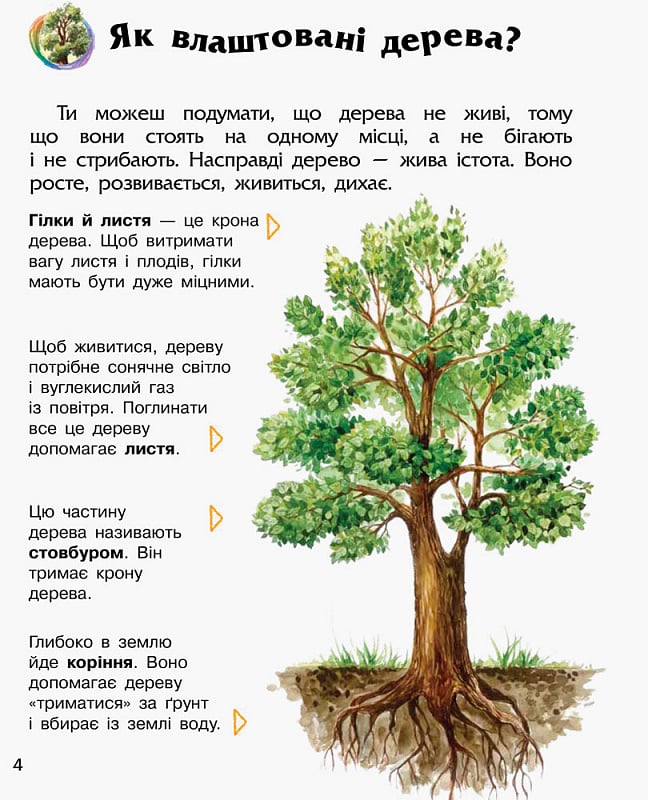 Книга "Енциклопедія дошкільника: Каспарова Ю. Ліс" (у) (6196) 3