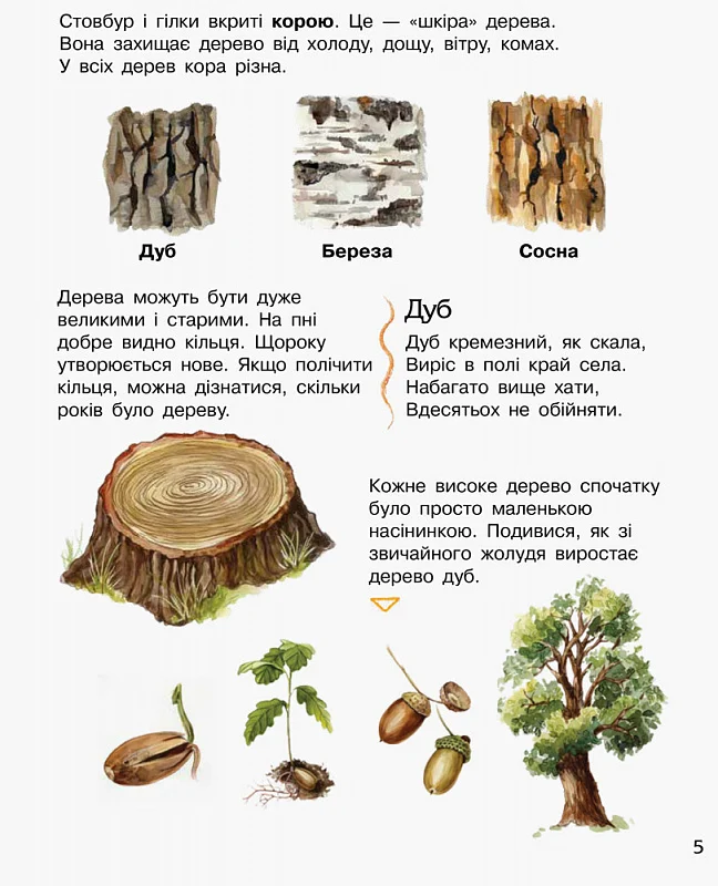 Книга "Енциклопедія дошкільника: Каспарова Ю. Ліс" (у) (6196) 4