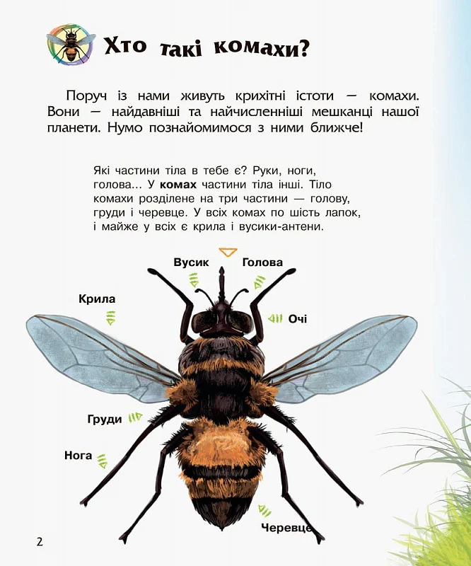 Книга "Энциклопедия дошкольника: Каспарова Ю. Насекомые" (у) (7292) 1