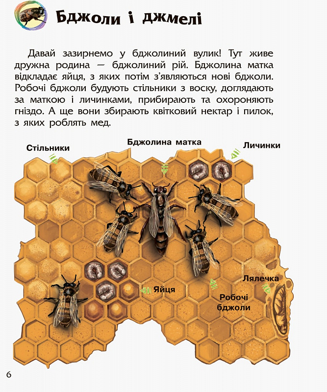 Книга "Энциклопедия дошкольника: Каспарова Ю. Насекомые" (у) (7292) 5