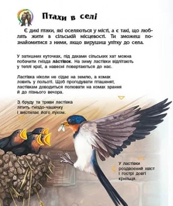 Книга "Енциклопедія дошкільника: Каспарова Ю. Птахи" (у) (9149) 2
