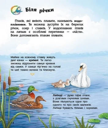 Книга "Енциклопедія дошкільника: Каспарова Ю. Птахи" (у) (9149) 3