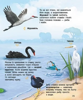 Книга "Енциклопедія дошкільника: Каспарова Ю. Птахи" (у) (9149) 4