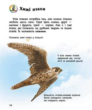 Книга "Енциклопедія дошкільника: Каспарова Ю. Птахи" (у) (9149) 5