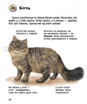 Книга "Енциклопедія дошкільника: Каспарова Ю. Свійські тварини" (у) (9118) 4