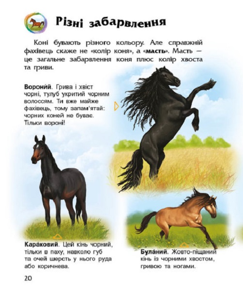 Книга "Енциклопедія дошкільника: Каспарова Ю. Коні" (у) (7816) 3