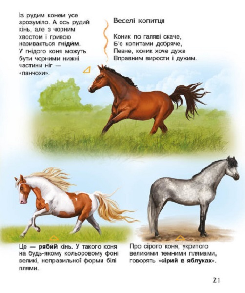 Книга "Енциклопедія дошкільника: Каспарова Ю. Коні" (у) (7816) 4