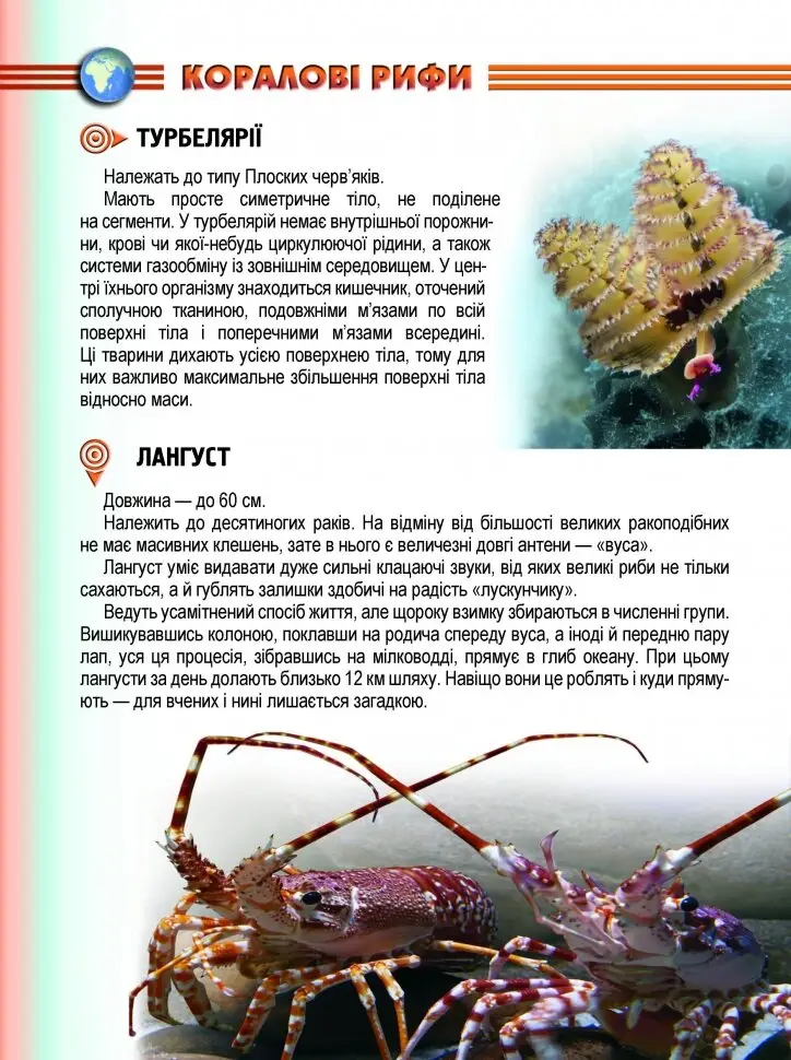 Книга "Енциклопедія для допитливих А5: Мешканці морів і океанів" (у) (0318) 4