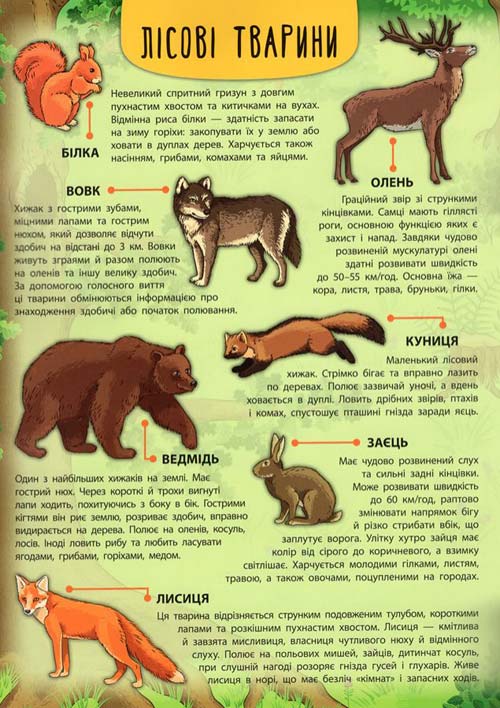 Книга Енциклопедія з наліпками.Лісові тварини та рослини (5006) 2