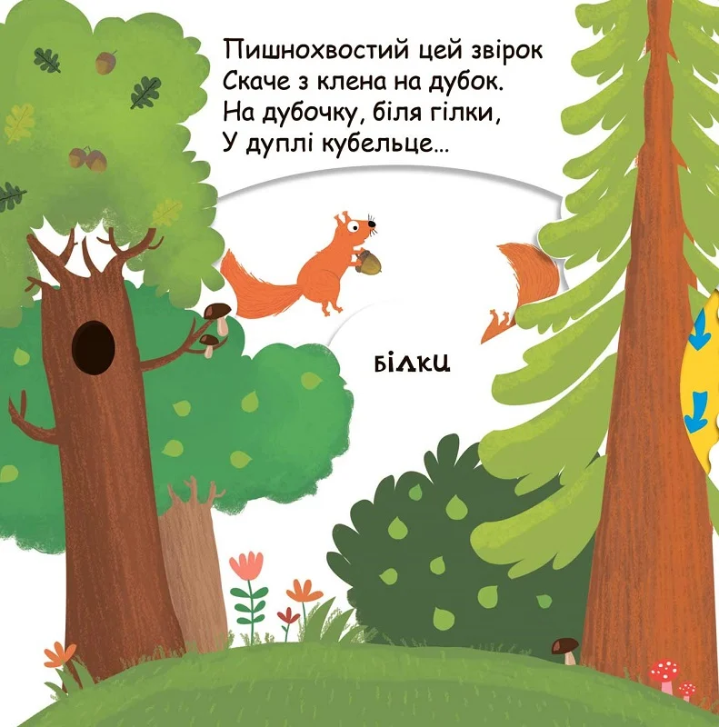 Книжка "Животные в лесу" 2