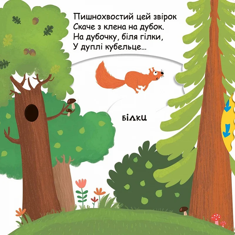 Книжка "Животные в лесу" 3
