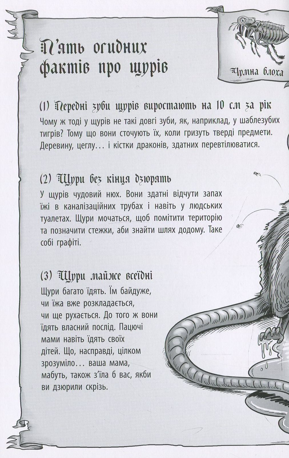 Книга "Рыцарь - Дракон: Кн.2. Крысы! Мьюборн К., Биксли Д." (у) (2074) 10
