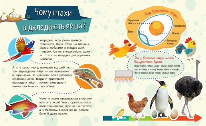 Книга "Почемусики. Животные. Булгакова Г." (у) (7810) 2