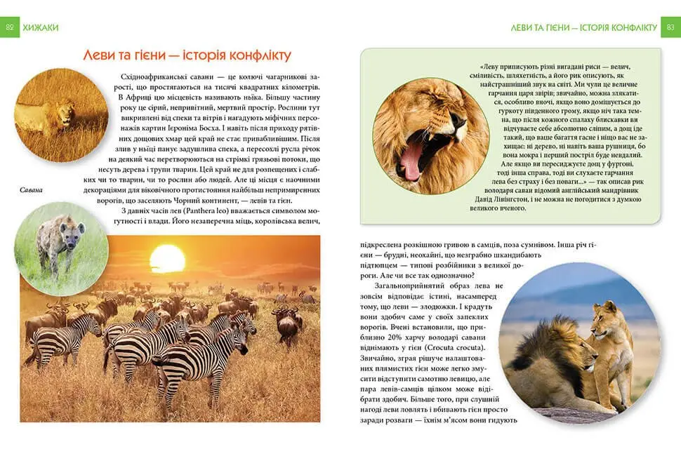 Книга "Енциклопедія для допитливих А5: Хижаки" (у) (5874) 1