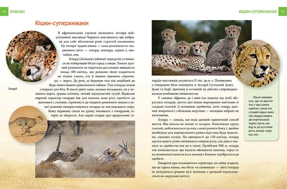 Книга "Енциклопедія для допитливих А5: Хижаки" (у) (5874) 2