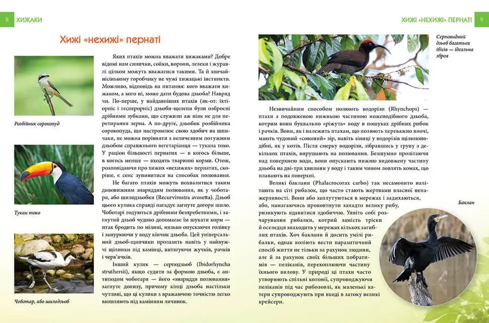 Книга "Енциклопедія для допитливих А5: Хижаки" (у) (5874) 4