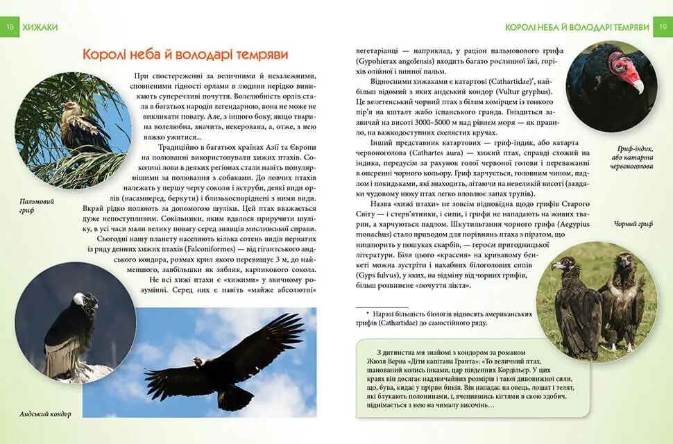 Книга "Енциклопедія для допитливих А5: Хижаки" (у) (5874) 5