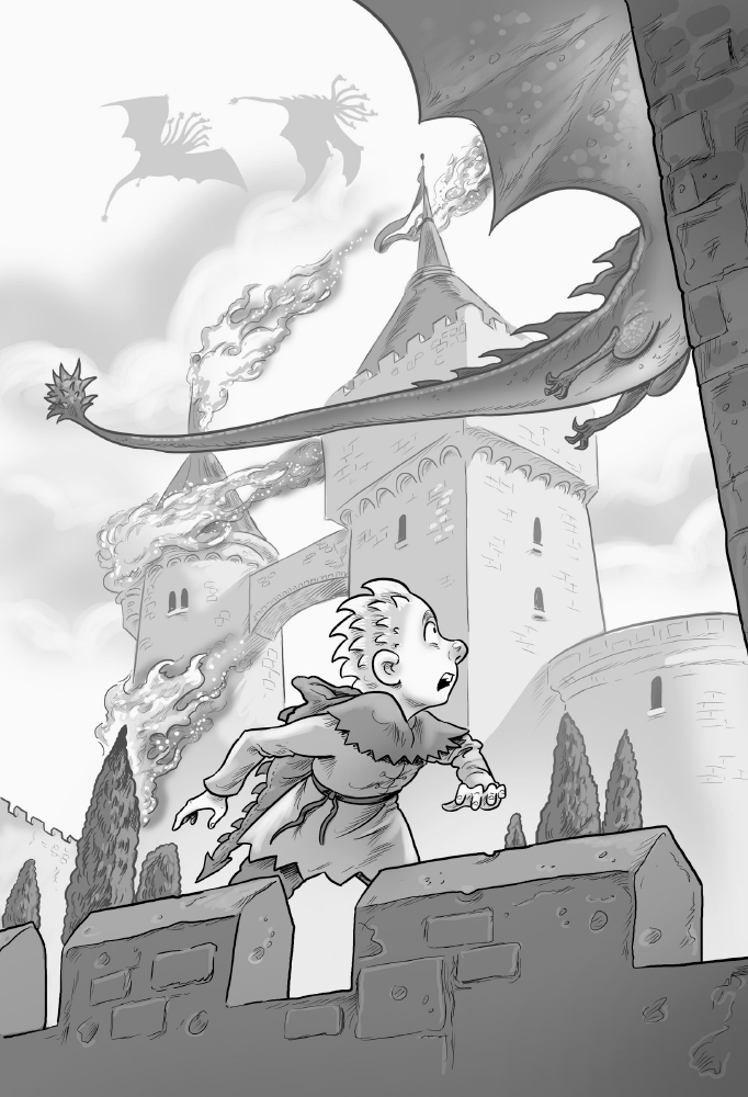 Книга "Рыцарь - Дракон: Кн.4. Драконы! Мьюборн К., Биксли Д." (в) (3200) 9