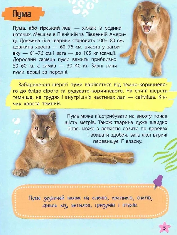 Книга "Мініенциклопедія. Тваринний світ. (у) (7265) 3