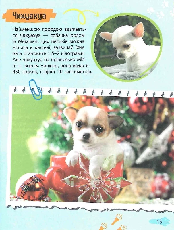 Книга "Мініенциклопедія. Хатні улюбленці (у) (7241) 4