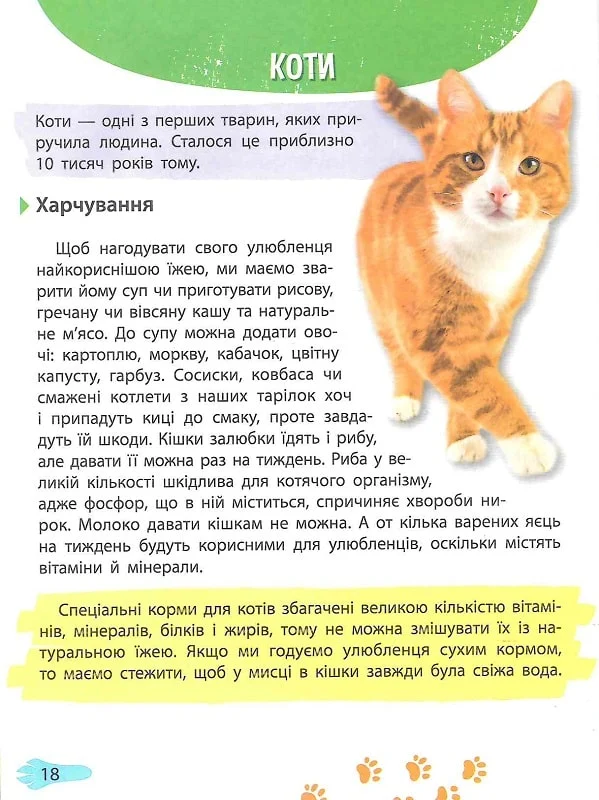 Книга "Мініенциклопедія. Хатні улюбленці (у) (7241) 5