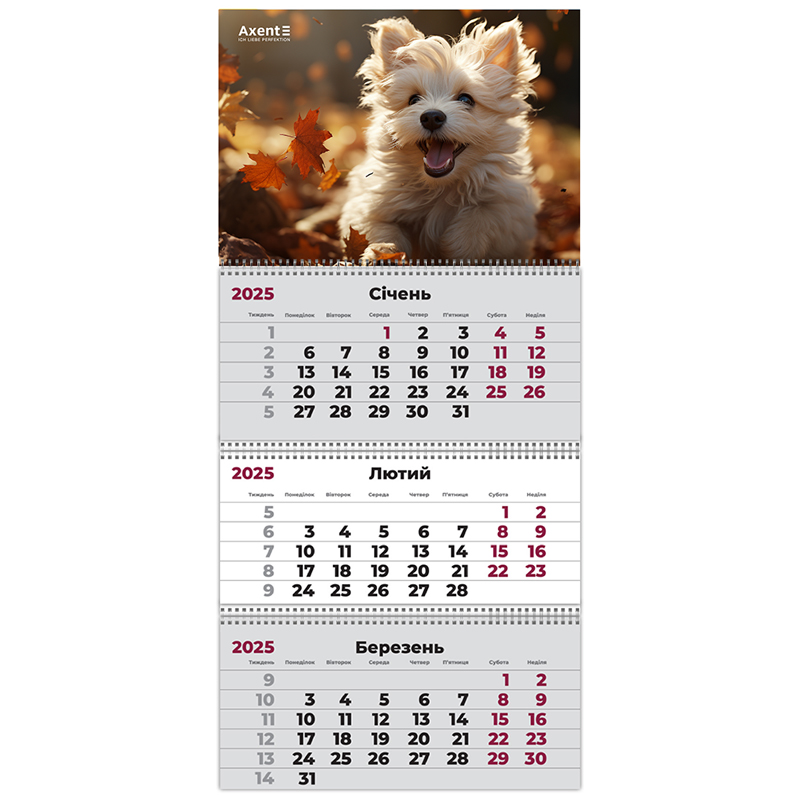 Календарь настенный квартальный 2025 г.,3 пруж. Dogs 3, 8803-25-18-A