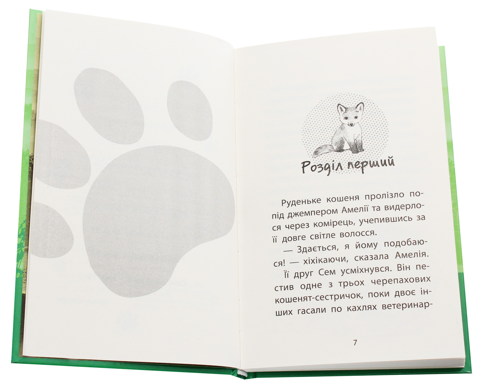 Книга "Деніелс Л. Історії порятунку. Кн.3. Лисеня у небезпеці" (у) (1336) 12