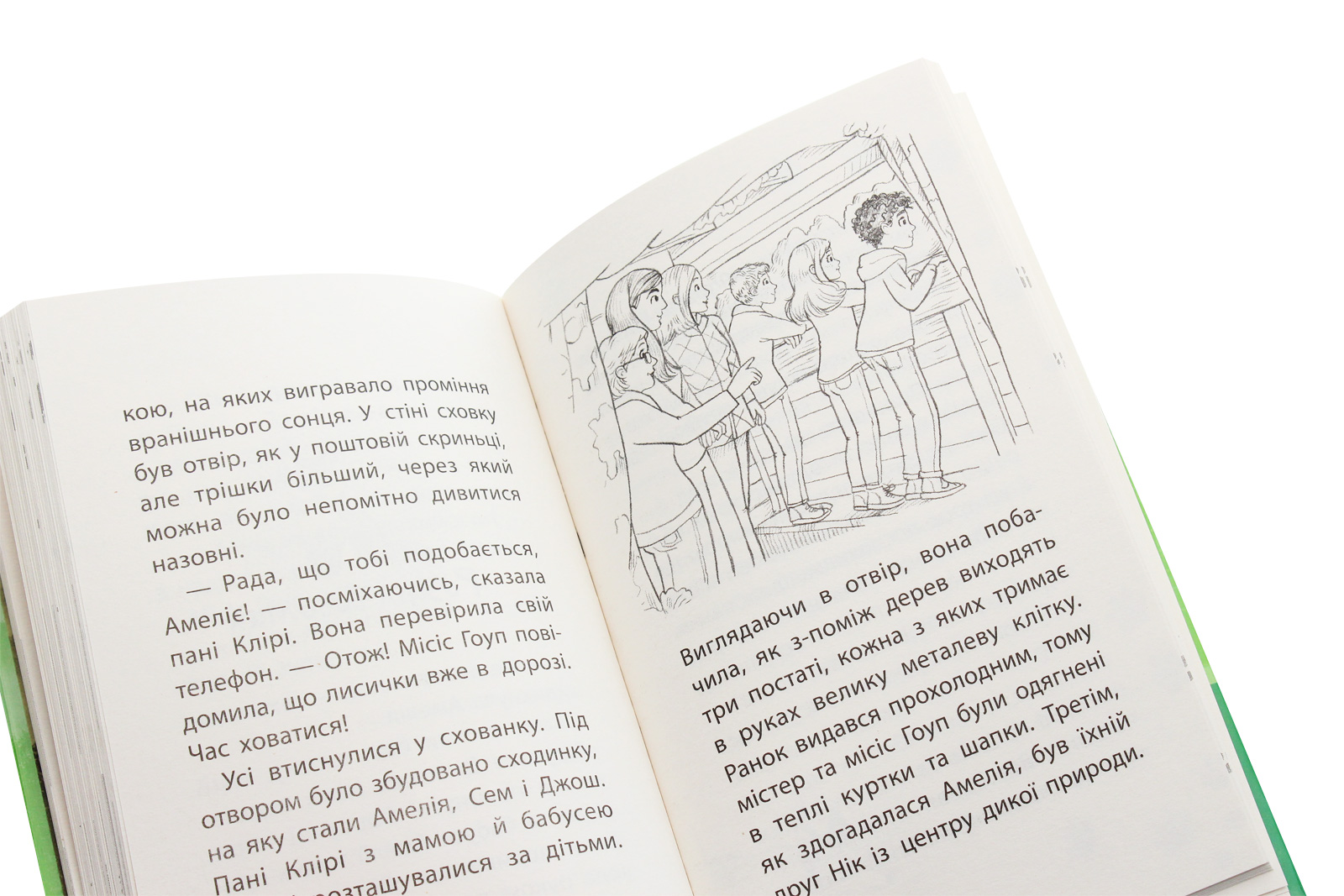 Книга "Деніелс Л. Історії порятунку. Кн.3. Лисеня у небезпеці" (у) (1336) 14