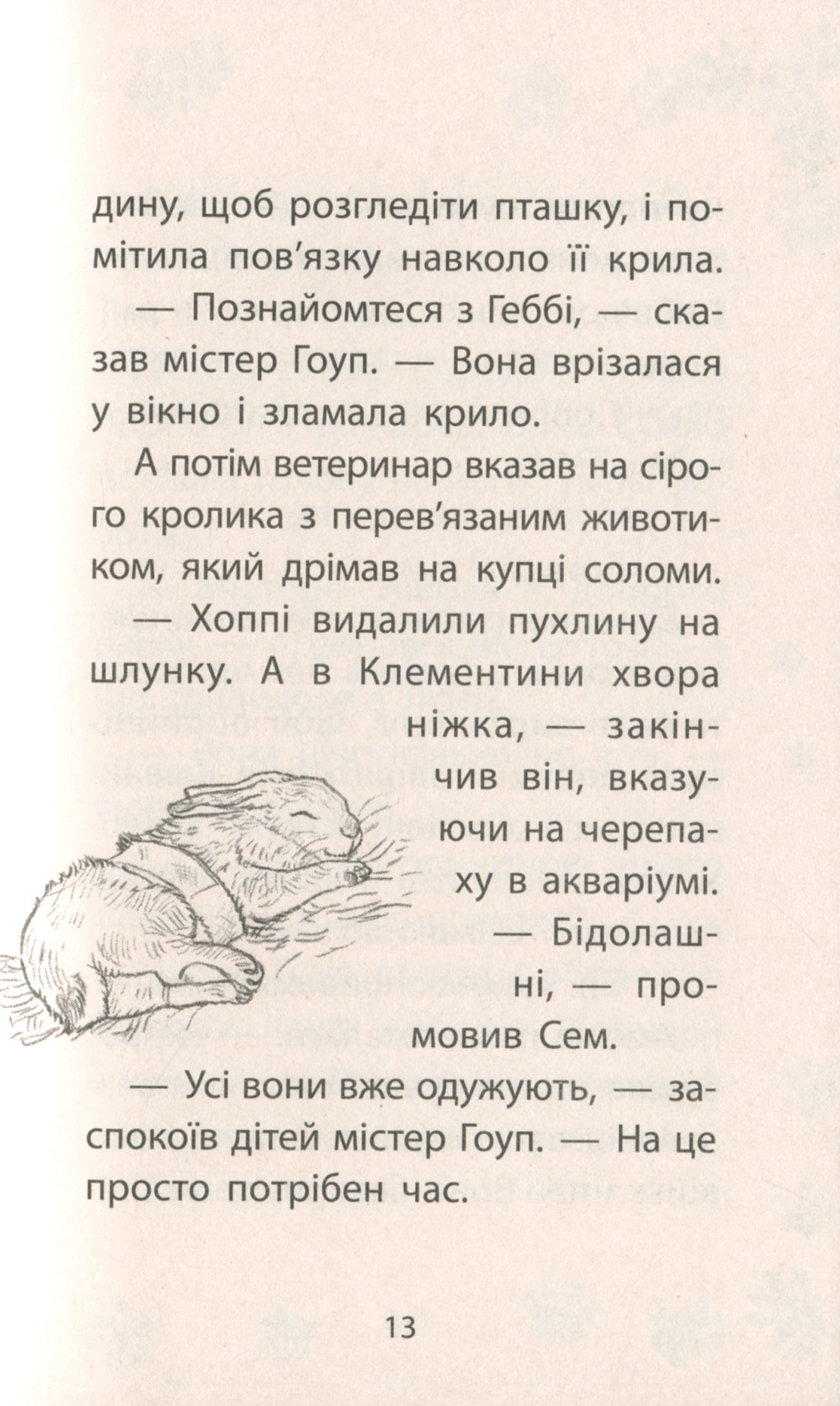 Книга "Деніелс Л. Історії порятунку. Кн.5. Щенячі пригоди" (у) (7195) 12