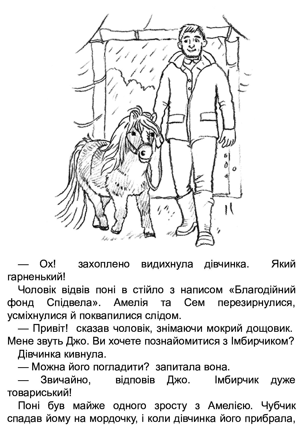 Книга "Деніелс Л. Історії порятунку. Кн.8. Самотній поні" (у) (7423) 4