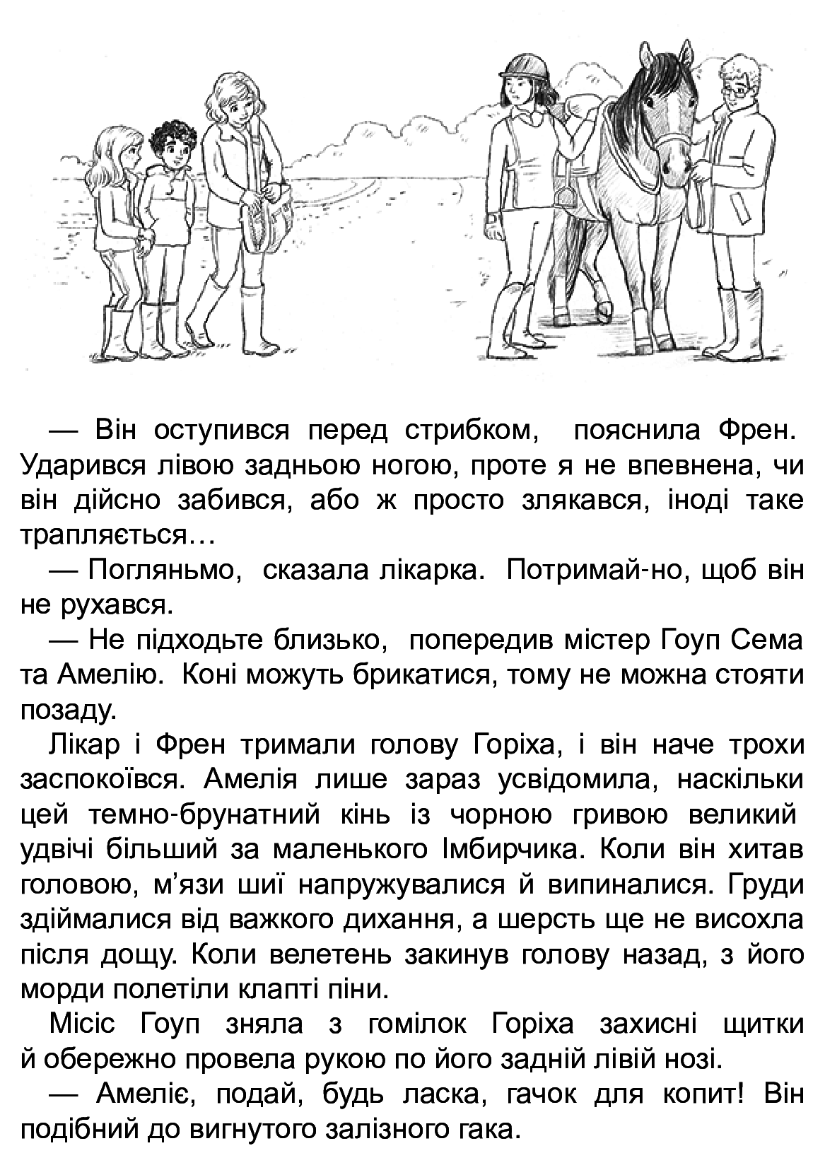 Книга "Деніелс Л. Історії порятунку. Кн.8. Самотній поні" (у) (7423) 9